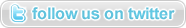 follow us on twitter